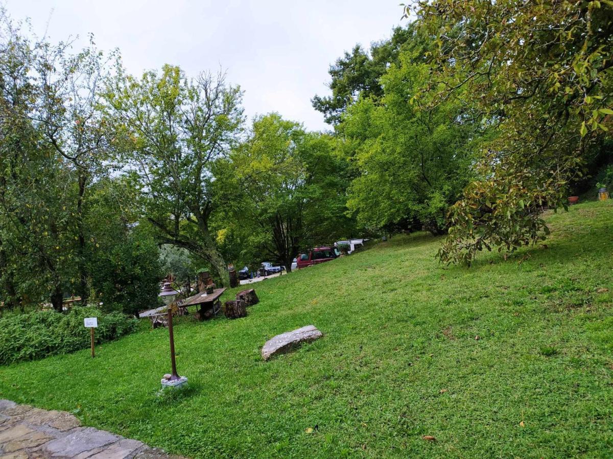 Agriturismo Montesalce Filey Ngoại thất bức ảnh